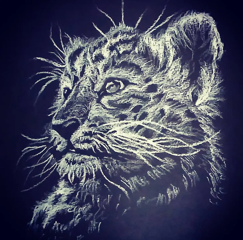 Leopard cub